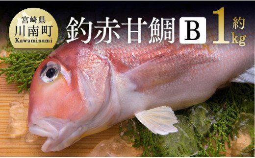 『釣赤甘鯛 Ｂ』　魚 [G4406]