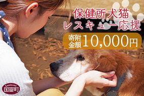 ＜保健所犬猫レスキュー【返礼品なしのご寄附】＞寄付金額10,000円※お礼状をお送りいたします。【 動物愛護 保護 犬 猫 いぬ ねこ イヌ ネコ 動物 どうぶつ ペット 応援 支援 寄付 使い道 寄附のみ いのちのはうす保護家 】【a0622_in】