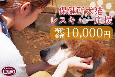 y{茧xzیLXL[yԗiȂ̂񕍁ztz10,000~肢܂By  ی  L  ˂ Ck lR  ǂԂ ybg  x t g 񕍂̂ ̂̂͂ی zya0622_inz