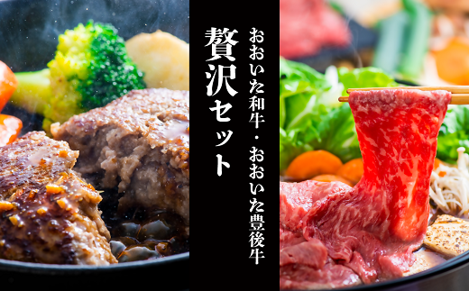 「おおいた和牛」モモ・ロースすき焼き肉(500g)&豊後牛ハンバーグ(9個)贅沢セット