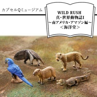 158-1054-027　カプセルQミュージアム WILD RUSH 真・世界動物誌Ⅱ～南アメリカ・アマゾン編～＜海洋堂＞