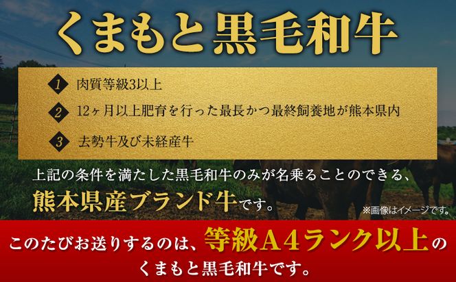 くまもと黒毛和牛 サーロイン リブロース 内モモ 希少部位 500g 牛肉 焼肉用 冷凍 《2026年1月中旬-3月末頃出荷》 くまもと黒毛和牛 黒毛和牛 焼肉 肉 お肉 熊本県 大津町---oz_fkgsrumky_bc13_r7_12000_500g---