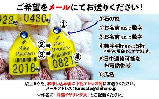 北海道 耳標 牛 イヤリング  大サイズ オリジナル アクセサリー 藤内牧場 ハンドメイド セミオーダー 名前 イニシャル アルファベット 数字 入り 手作り スワロフスキー プレゼント 送料無料 十勝 士幌町【U02e】