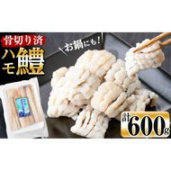 お鍋・はもしゃぶにも！志布志湾鱧（骨切り済み） 計600g a5-296