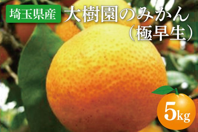 yʌtsẑ݂iɑj5kgyʕ L@͔|  ts ʌziCH002-1j