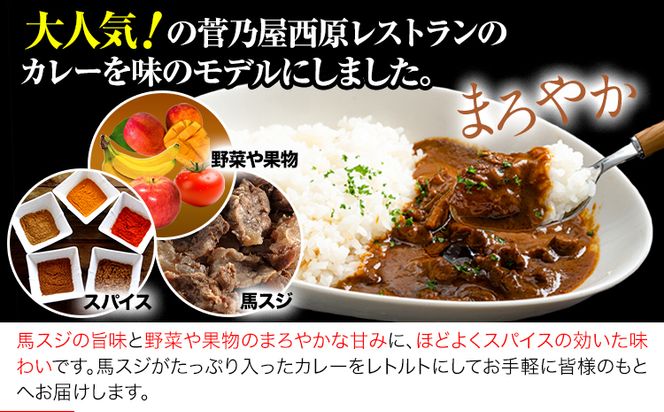 たっぷり！馬スジカレー 10食セット《60日以内に出荷予定(土日祝除く)》馬スジ カレー お肉 馬すじ カレーライス 馬肉 贈答 ギフト グルメ お取り寄せ 熊本県 南阿蘇村 送料無料 個包装 大人気 簡単調理 千興ファーム---sms_fbsjikr_60d_25_17000_10set---