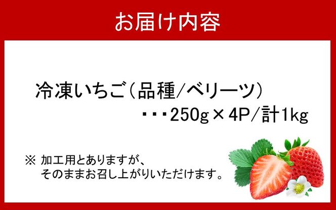 美味しさそのまま！苺屋の冷凍いちご1kg（250g×4P/品種:ベリーツ）_2148R