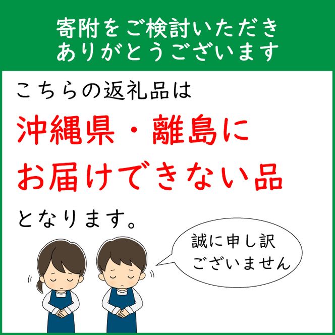 ＜1月開始＞山形米１年定期便！ 雪若丸無洗米2kg（入金期限：2024.12.31）