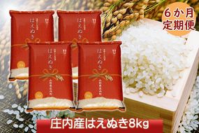 ＜12月中旬発送＞庄内米6か月定期便！はえぬき8kg（入金期限：2024.11.25）