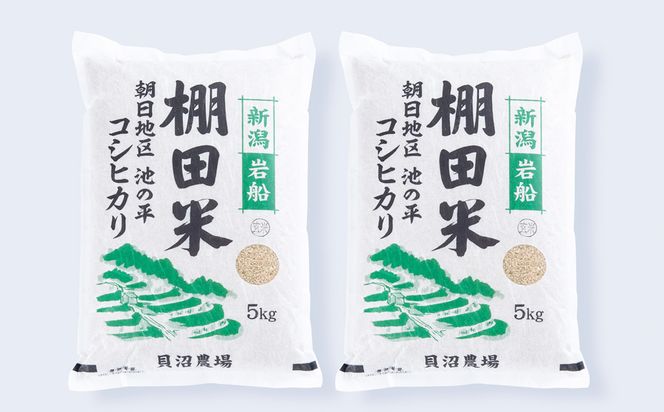 【令和7年産米】新潟県村上市岩船産 棚田米 コシヒカリ 玄米 10kg AB4041
