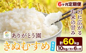 【6ヶ月定期便】 令和6年産 米 岡山県産 きぬむすめ 無洗米 10kg ありがとう園《お申込み月の翌月から出荷開始》岡山県 矢掛町 無洗米 米 コメ 一等米 定期便 定期---osy_aekmtei_23_110500_mo6num_10---