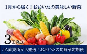 1月からお届け!おおいたの旬野菜定期便/計3回発送_2397R