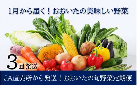 y啪sz1炨͂!̏{ؒ/v3񔭑_2397R