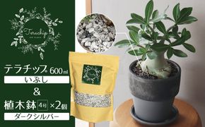 三河焼 植木鉢 ダークシルバー【テラチップいぶし】プランター お手軽 植物栽培セット H188-001