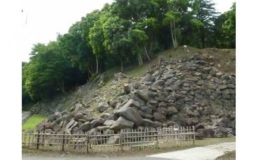 67-1339　小田原城御城印・御城印帳・石垣山城御城印セット