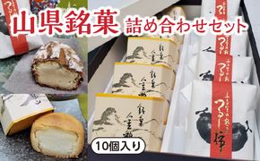 山県銘菓　詰め合わせセット　10個入り [No.373]