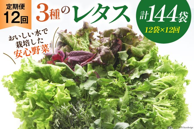 【12回定期便】富山のおいしい水で生産した安心野菜（12袋）[北陸機材 富山県 舟橋村 57050146] 野菜 野菜セット フラワーリーフ フリルレタス マルチレタス 水耕栽培 定期便