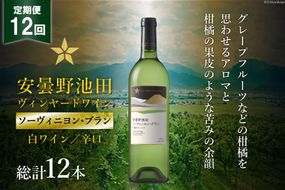 12回 定期便 白ワイン サッポロ グランポレール 安曇野池田ヴィンヤード「ソーヴィニヨン・ブラン」750ml 総計12本 [池田町ハーブセンター 長野県 池田町 48110617] 白 ワイン 辛口 お酒 酒