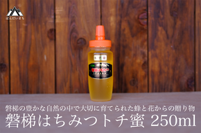 国産純粋はちみつ 天然 磐梯養蜂 磐梯はちみつ 250g［チューブ］ トチはちみつ トチみつ トチ蜜 蜂蜜 ハチミツ はちみつ HONEY ハニー 国産 産地直送 無添加