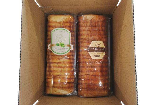 八ヶ岳ブレッド 2本セット メープルパン & シャインマスカットパン [六曜舎 山梨県 韮崎市 20742717] パン 食パン 菓子パン 食べ比べ セット ぱん ブレッド 朝食 おやつ 食品 メープル シャインマスカット マスカット