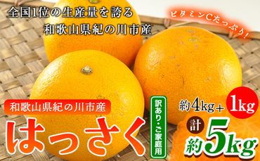 [訳あり/ご家庭用]はっさく 八朔 4kg+1kg 計約5kg サンファーム[1月上旬-3月末頃より出荷予定]和歌山県 紀の川市 ご家庭用---wsk_saf7_ac13_23_7000_5kg---