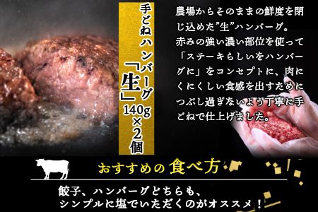 ＜みやざきハーブ牛 餃子＆ハンバーグセット＞入金確認後、翌月末迄に順次出荷【c910_fw_x2】