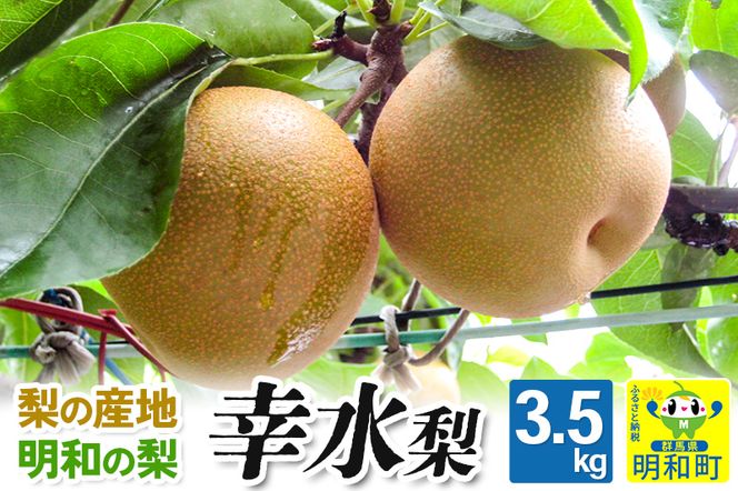 梨（幸水 こうすい）3.5kg【8月中旬～8月下旬にお届け】 果物 フルーツ [梨 幸水 こうすい なし ナシ 和梨 果物 フルーツ 群馬県明和町]|10_mns-010301