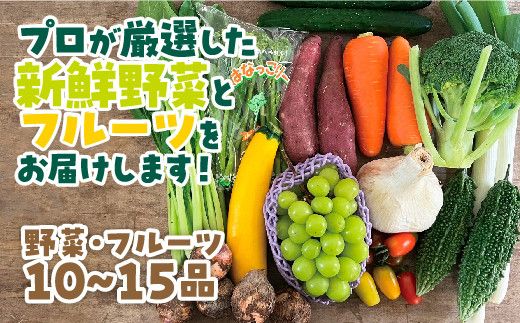 D070 山口の新鮮野菜と旬のフルーツ詰め合わせ