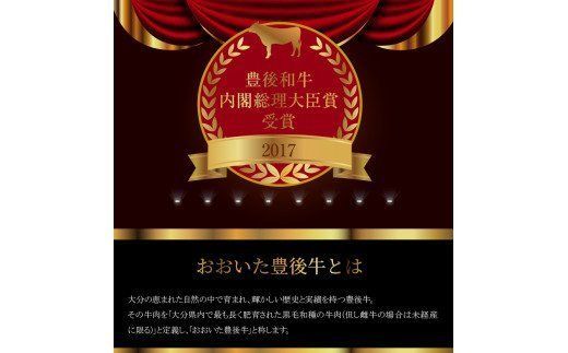 【A01023】 豊後黒毛和牛焼肉詰合せ約700g