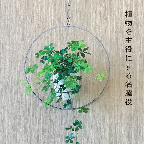 GRAVIRoN Hang Plants シリーズ Round 酸洗鉄（プランツハンガー） 観葉植物 プランター