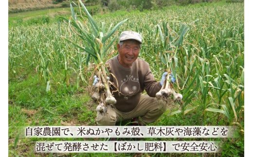 【期間限定発送】 にんにく 国産 1kg [甲斐自然派農園 宮崎県 日向市 452060131] ふるさと納税 ニンニク 1キロ 栽培期間中 無農薬 農薬不使用 化学肥料不使用 日向市産