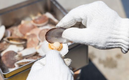 湾宝稚貝のガンガン焼き【170007】