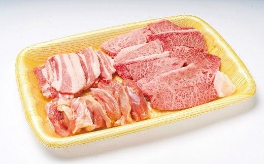 【スピード配送】 G-14 おおいた和牛焼肉セット（合計1.6kg）