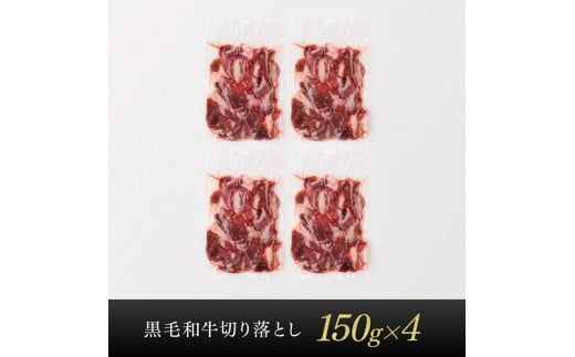 宮崎県産黒毛和牛 切り落とし 600g 【 肉 牛肉 黒毛和牛 精肉 】 [G0511]