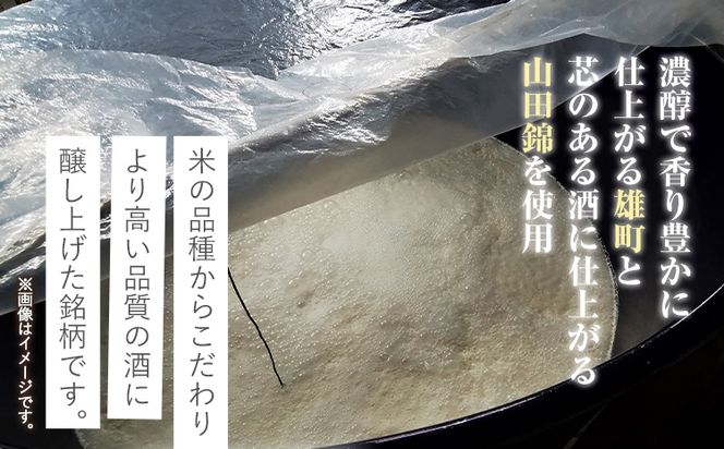 紀州の地酒 純米吟醸「紀伊国屋文左衛門」 16度 720ml×2本 エバグリーン 中野BC株式会社 《30日以内に出荷予定(土日祝除く)》和歌山県 日高町 酒 お酒 地酒---wsh_evg4_30d_24_13000_16d---