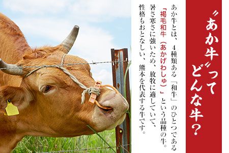 肥後のあか牛（熊本県産）焼肉用1000g 南阿蘇食品 《90日以内に出荷予定(土日祝除く)》 熊本県 南阿蘇村---sms_fmashgyk_90d_24_26000_1kg---