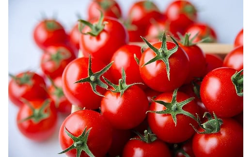超トマトを贅沢に絞った「超トマトジュース」　1本【1_2-021】
