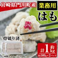 ＜訳あり・業務用＞加熱用はも(計約1kg・約500g×2パック)魚介 国産 ハモ 鱧 湯引き 天ぷら しゃぶしゃぶ 骨切り済 宮崎県 門川町【MR-2】【株式会社マルユウ水産】