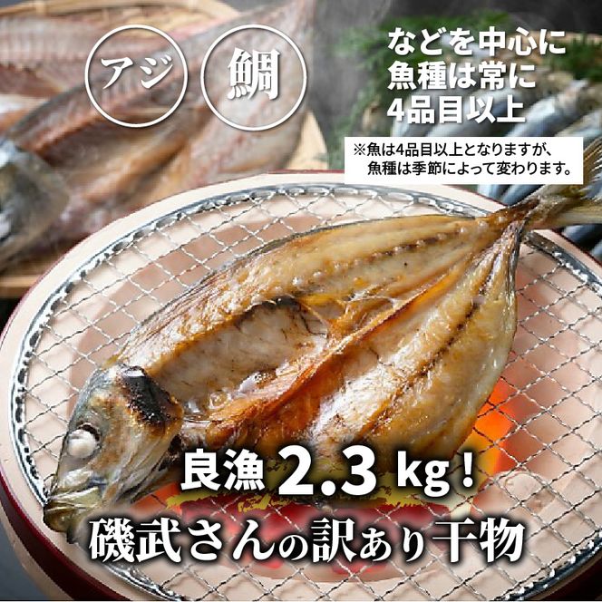 良漁2.3kg!磯武さんの訳あり干物_1020R