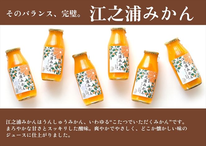 175-2257　ギフトセット１８０ｍｌ６本入り 小田原産江之浦みかん１００％ストレートジュース１８０ml６本【 みかんジュース 神奈川県 小田原市 】