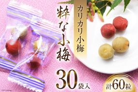 【やばいだろ】粋な小梅 2粒×30 計60粒 [山梨農産食品 山梨県 韮崎市 20742100] 梅干し 梅干 うめぼし 梅 小粒 小梅 カリカリ梅 国産 個包装