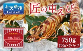 【上天草ブランド認証品】 匠の車えび【活き締め急速冷凍】 250g-3パック(30尾～39尾)  