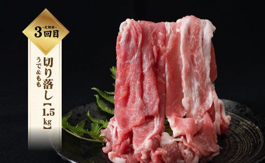 【9/1申し込みより冷凍発送！】　  ＜定期便＞6回プラン 幻の銘柄豚 富士湧水ポーク 2か月毎に美味しいお肉が届く！ 食べつくしセット　DM025