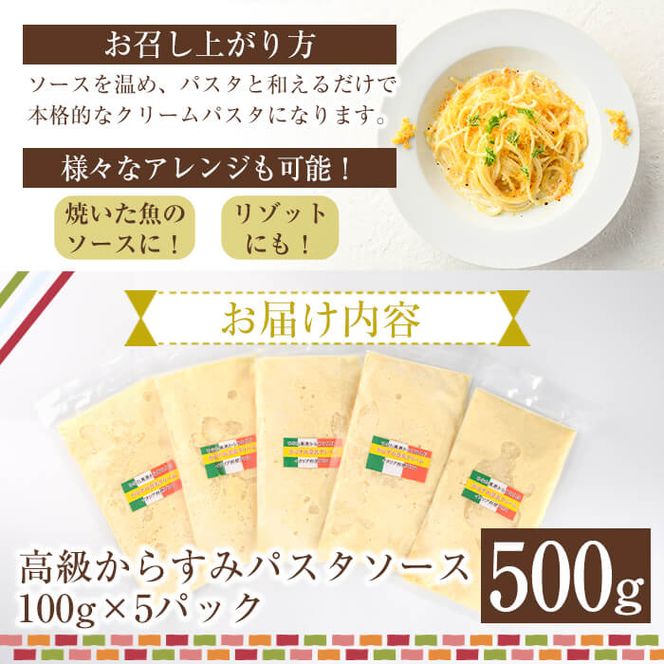 高級からすみパスタソース(計500g・100g×5P)カラスミ クリームソース スパゲッティ 冷凍 小分け 豆乳 おかず 簡単調理 宮崎県 門川町 【AC-12】【イタリア料理 Bliss】