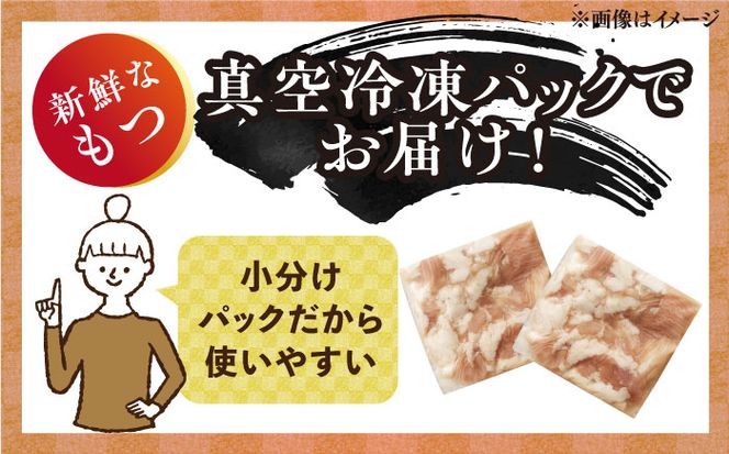 【ランキング１位受賞！】 博多 明太 もつ鍋 セット 10人前《築上町》【株式会社MEAT PLUS】 [ABBP011]