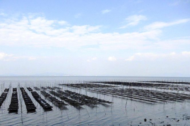 DF124 有明海産 味付のり 『たべたいな～ 朝ごはん』（8切5枚）×20束