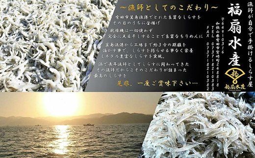 520.真空パックで鮮度そのまま！地元漁師仕上げ【しらすバラエティパック】(A520-1)