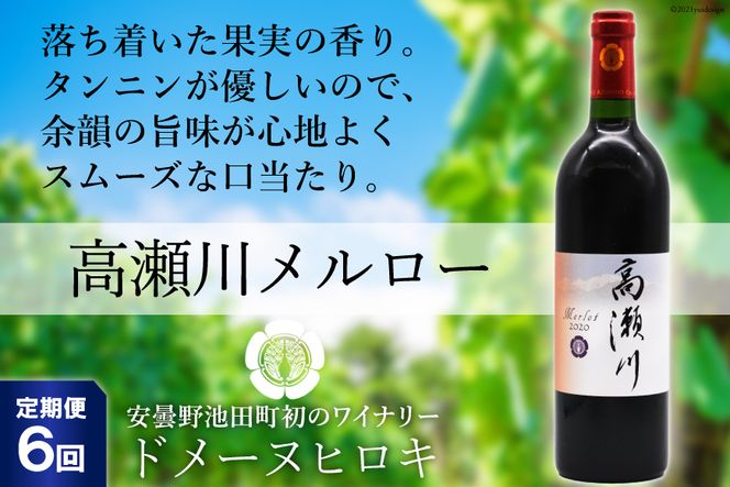 【6回 定期便 】【落ち着いた果実の香り】 赤 ワイン 高瀬川メルロー 750ml×1本 [ヴィニョブル安曇野 DOMAINE HIROKI 長野県 池田町 48110596] 赤ワイン お酒 酒