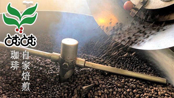 とむとむ 自家焙煎 レギュラーコーヒー 3缶 セット ( 各200g ) 缶 中挽き 珈琲 バリスタ 日本一 ブレンド モカ 自家焙煎 香り 挽きたて [BC004us]