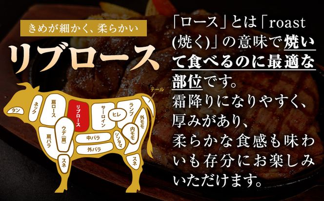 くまもと黒毛和牛 リブロースステーキ 250g 500g 750g 1000g 牛肉 冷凍 《30日以内に出荷予定(土日祝除く)》 くまもと黒毛和牛 黒毛和牛 冷凍庫 個別 取分け 小分け 個包装 ステーキ肉 にも リブロースステーキ---mna_fribu_30d_24_10000_250g---